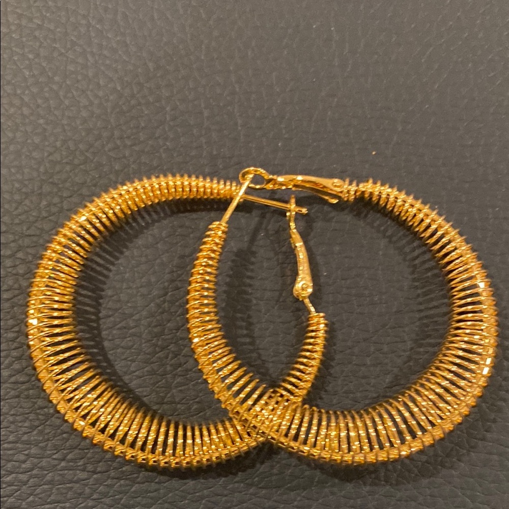 Elegant Gold Hoop Earrings
